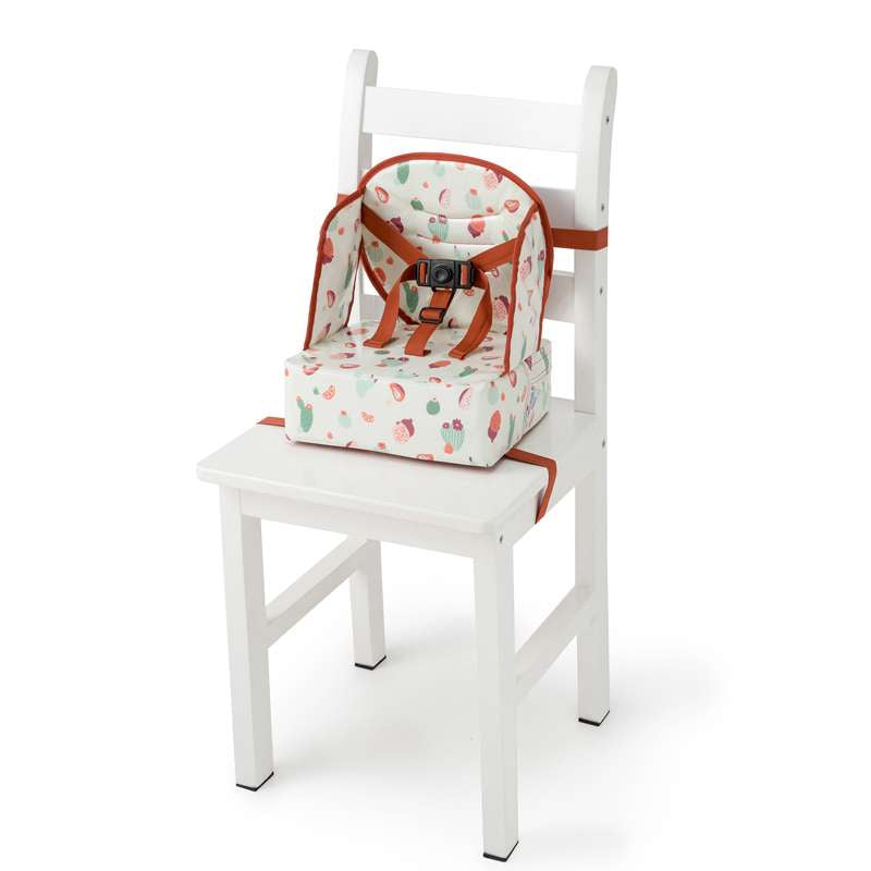 Easy Up Booster seat - Cactus Garden